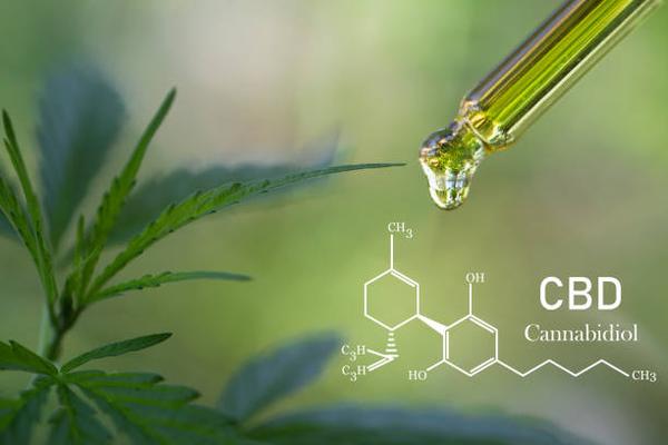 Unlock the Benefits of CBD Tinctures for Natural Wellness